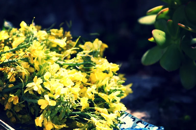 kaleflowers.JPG
