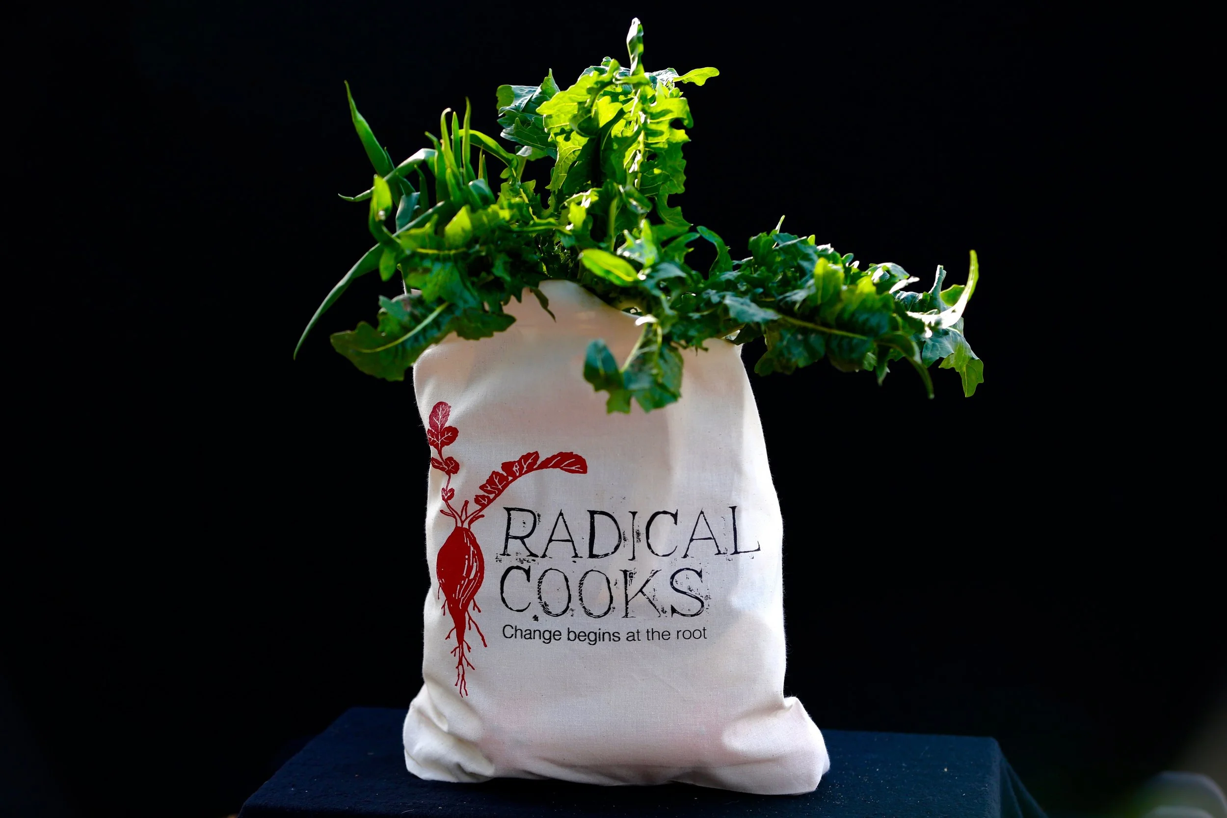 RadicalCooksBagPhoto.jpg