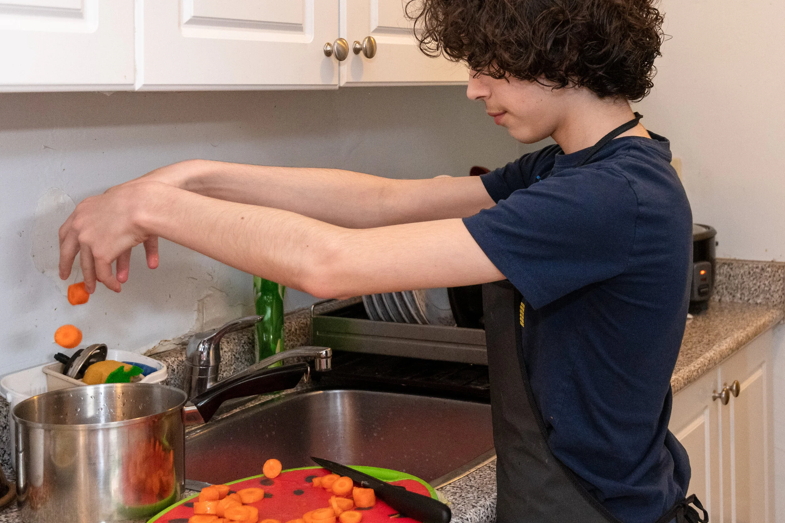 home economics for teens 2.0 .jpg