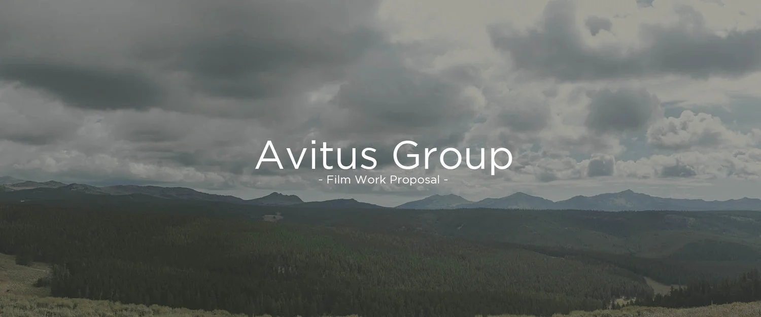 Avitus Group .jpg