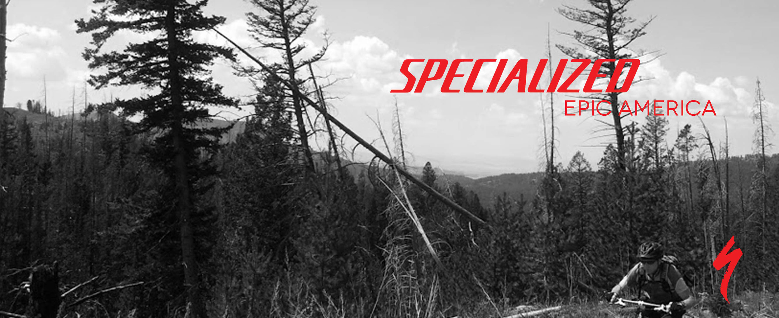 specialized.jpg