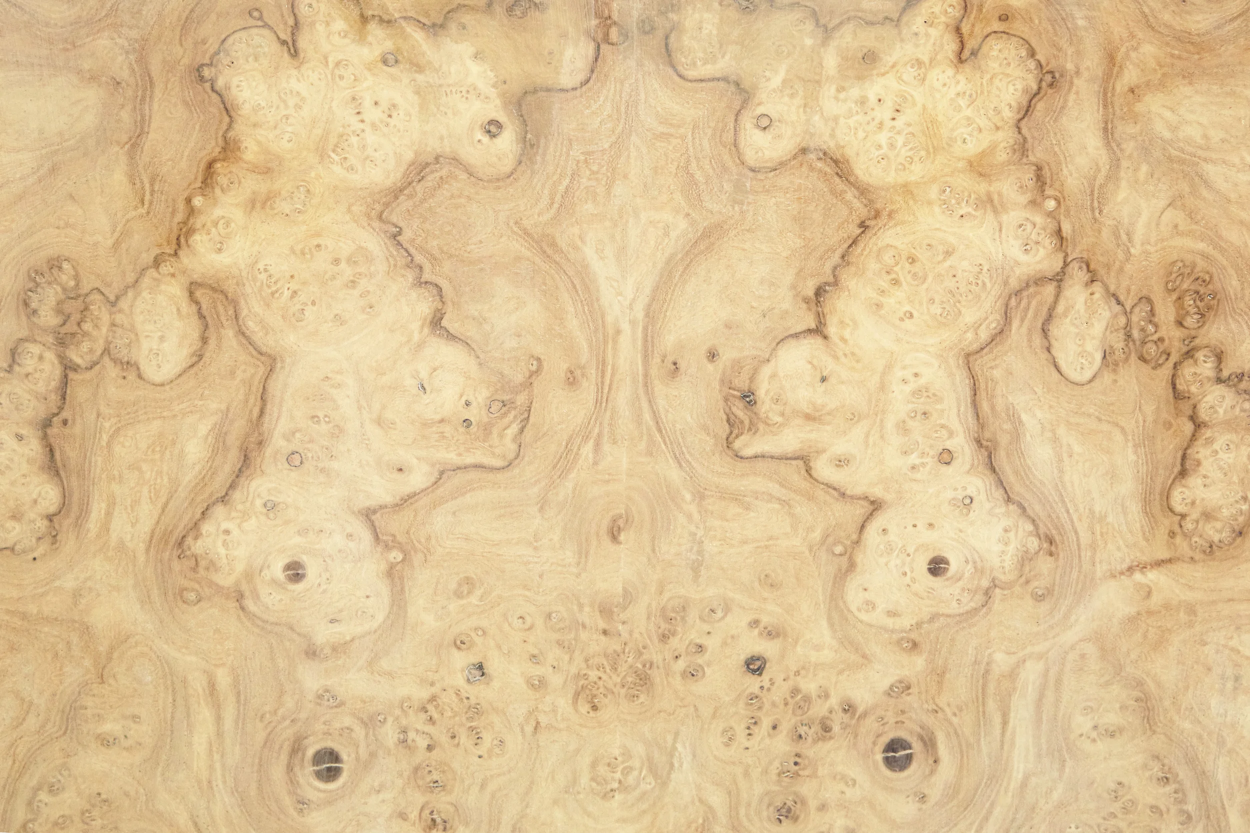 Bleached Burlwood Symmetry detail.jpg