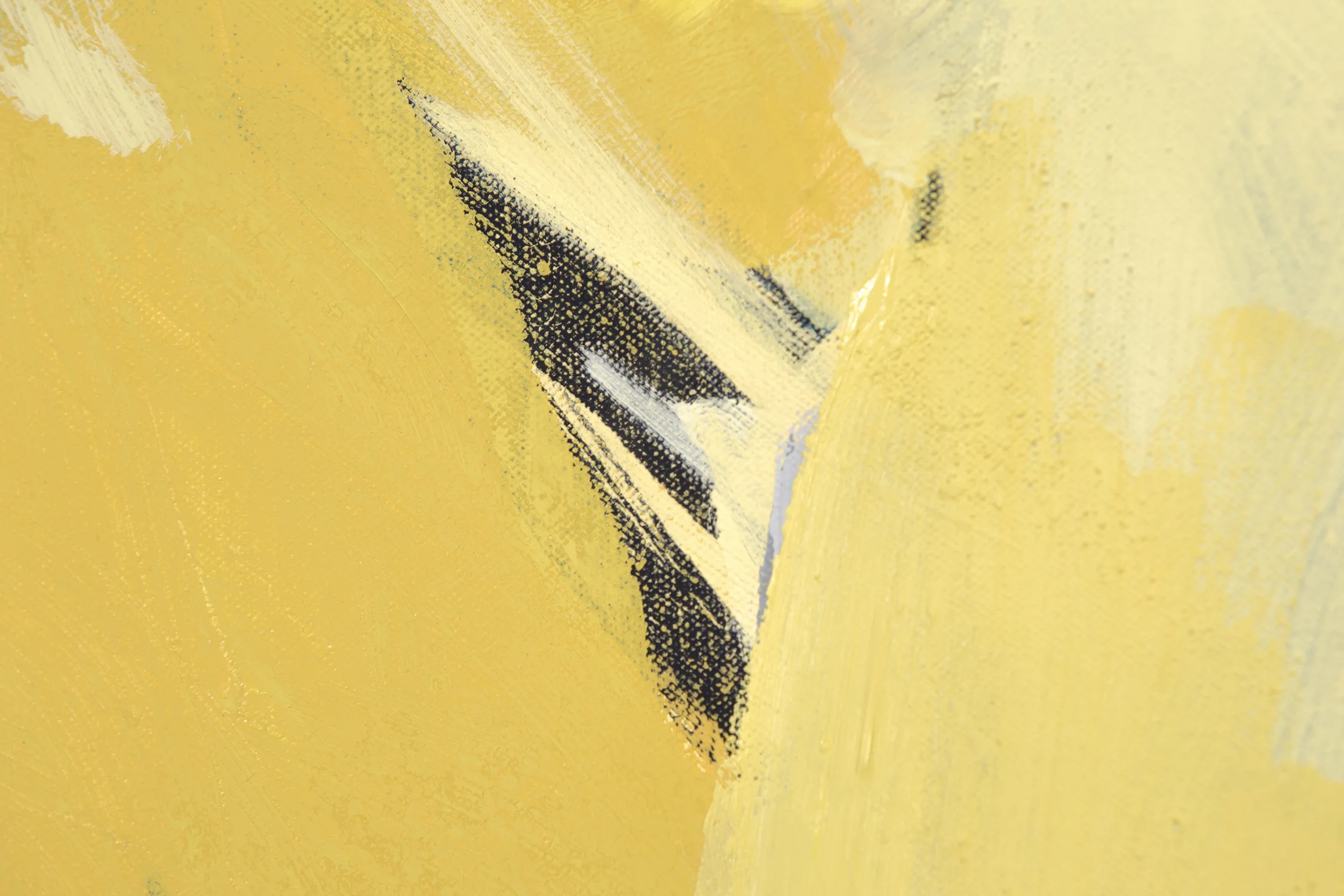 Torso_Detail1_SMALL.jpg