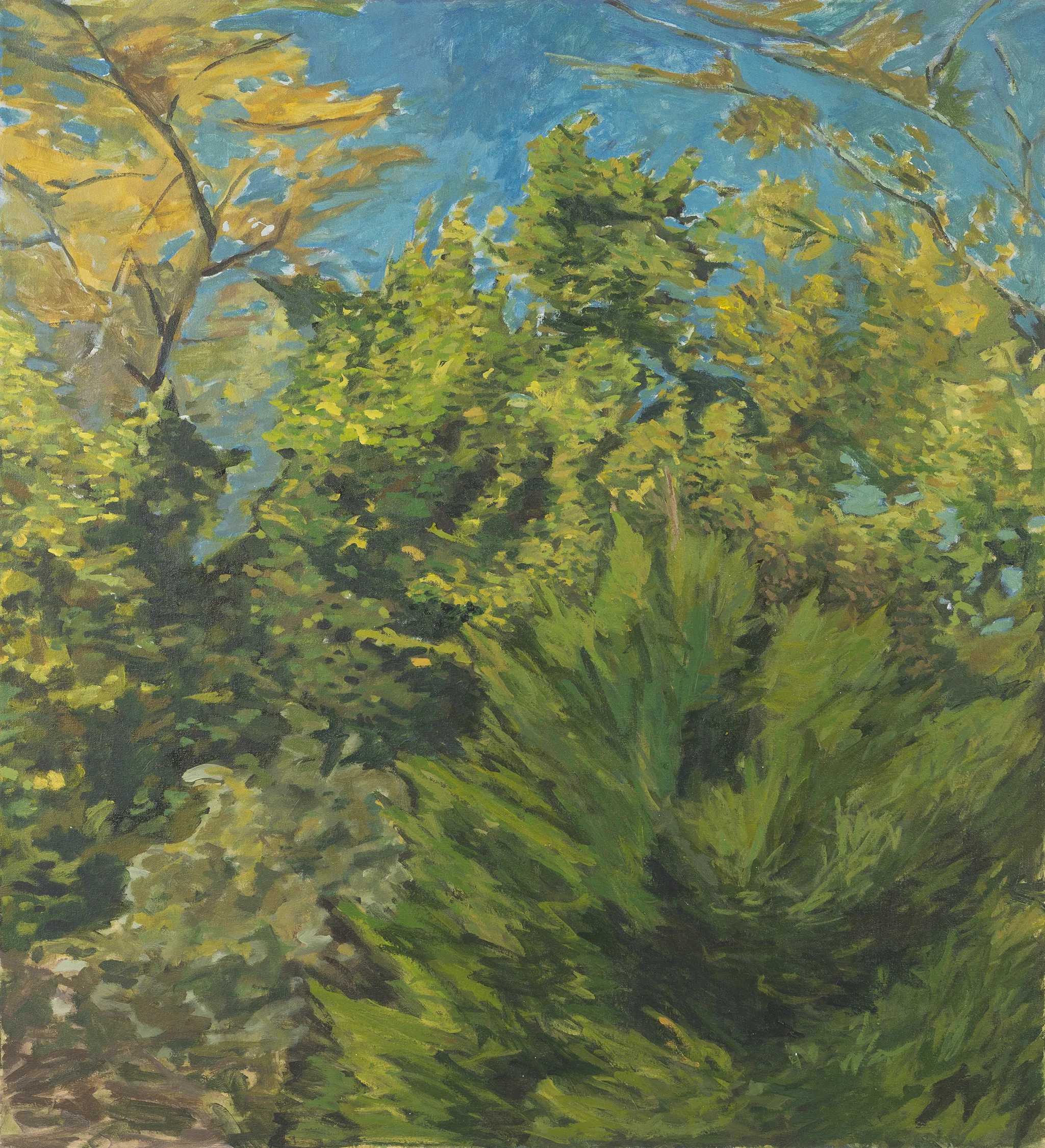 Treetops by Slater Sousley