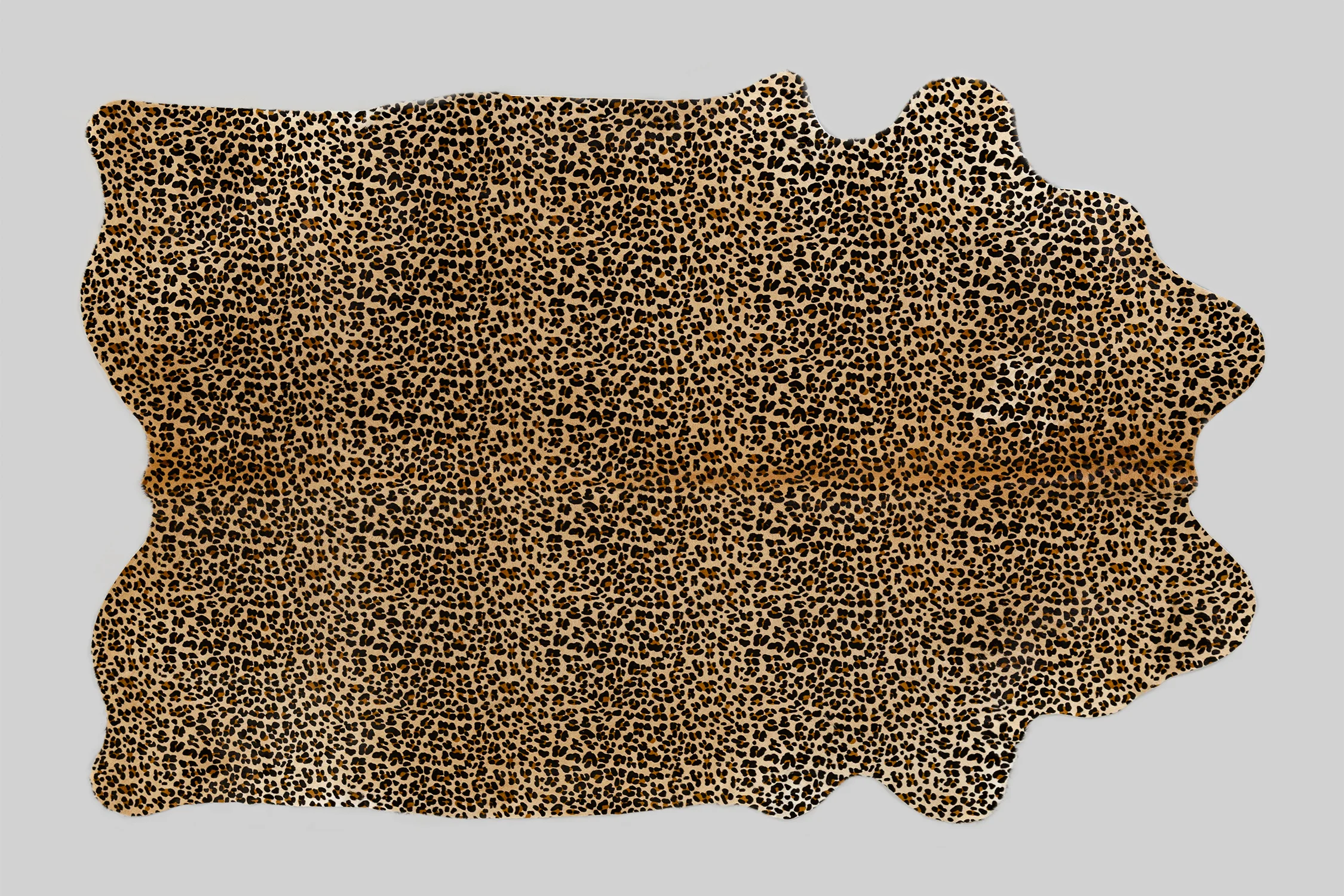 1_SMALL-2.jpg