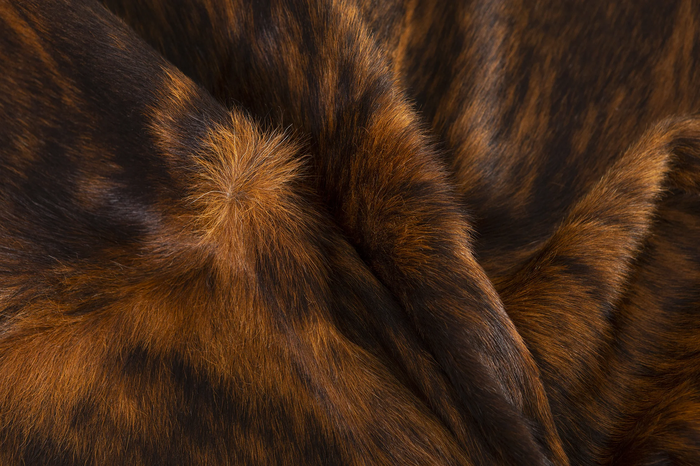Detail_SMALL.jpg