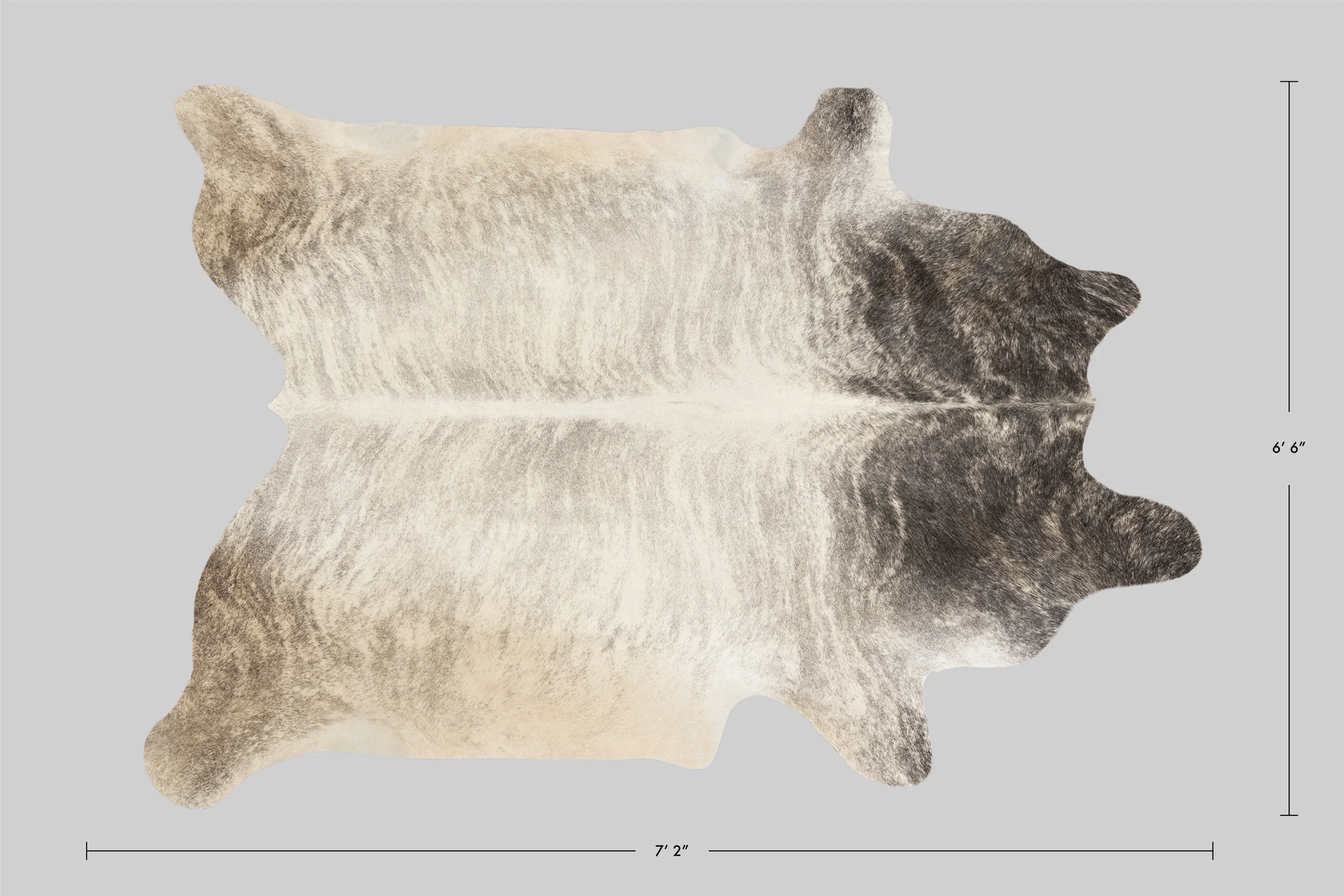 152_Measurement.jpg