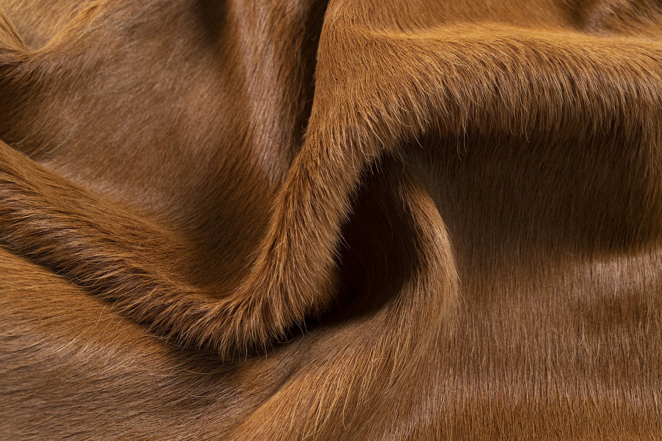 Detail_1_SMALL.jpg