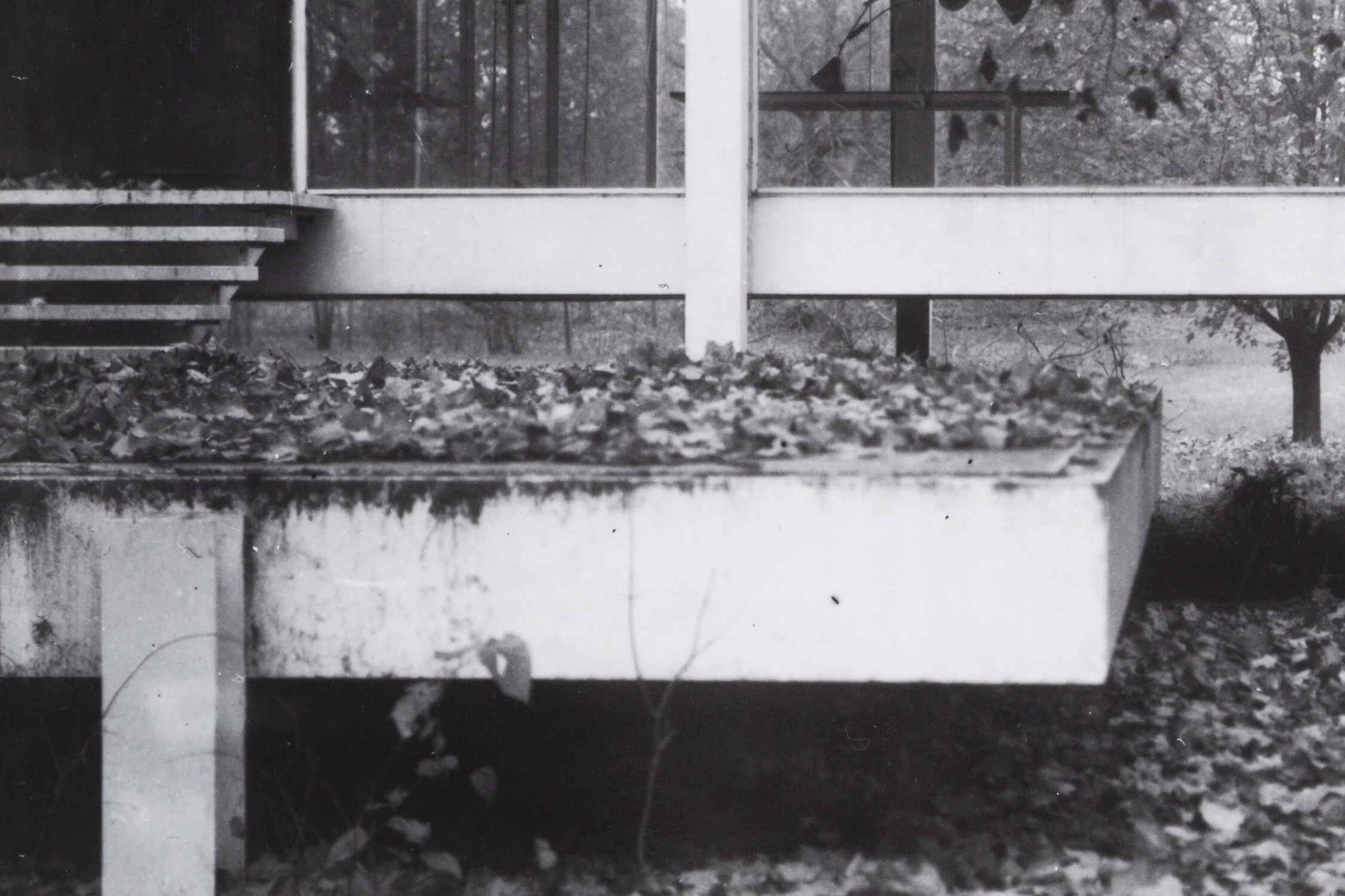 Detail_2_SMALL.jpg