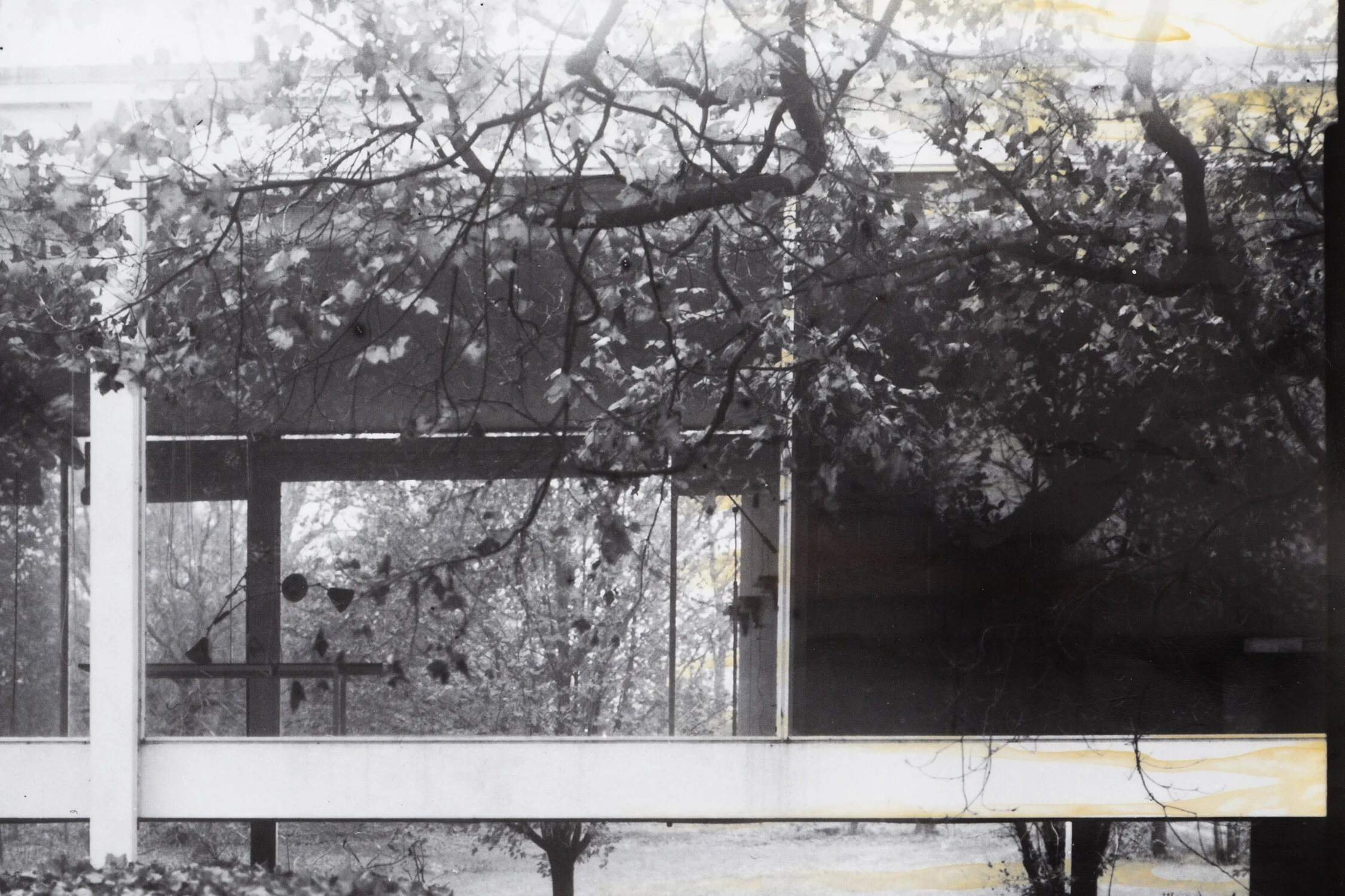 Detail_3_SMALL.jpg