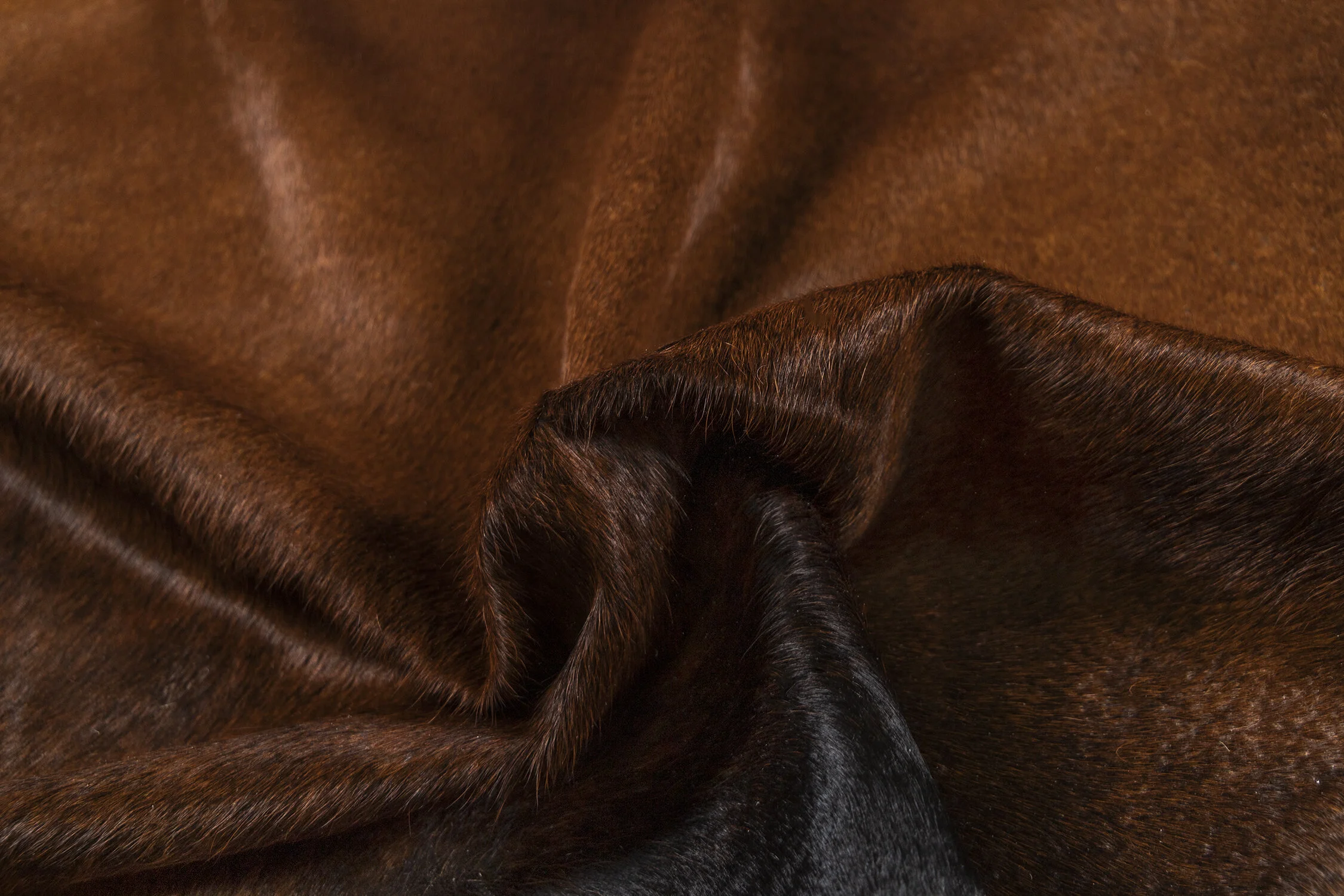 Detail_SMALL.jpg