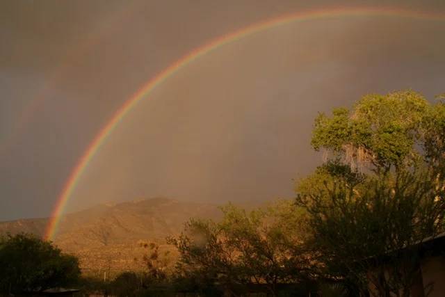 Spring Rainbow - kristie atwood