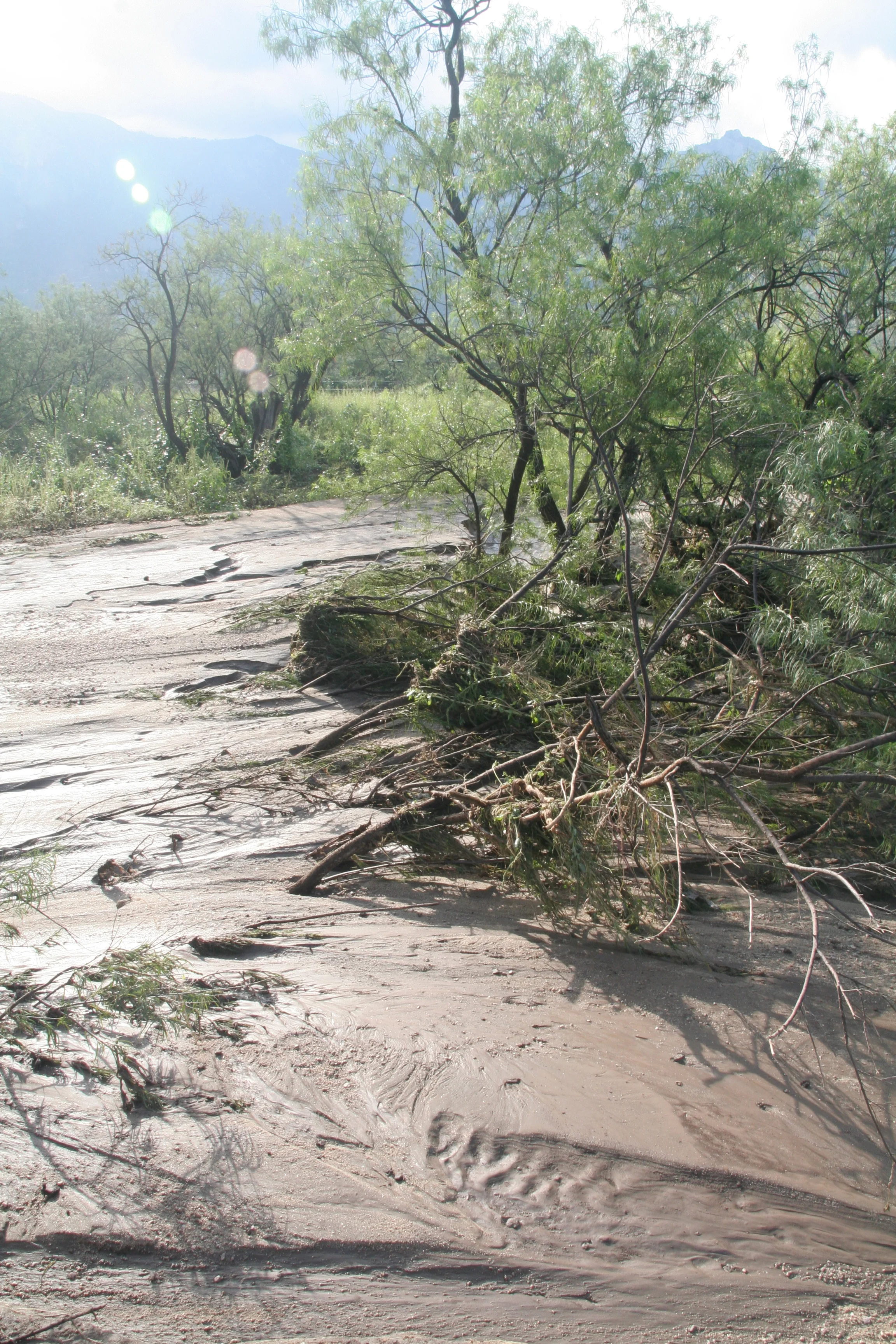 Recent Flood - kristie atwood