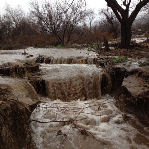 Northern end of wash, flowing south.