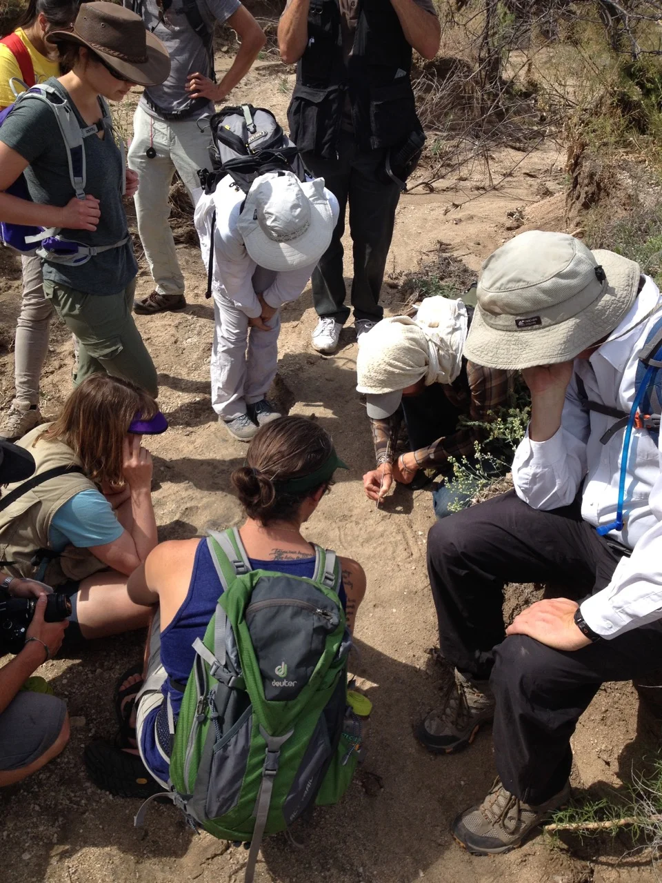 The group explores.