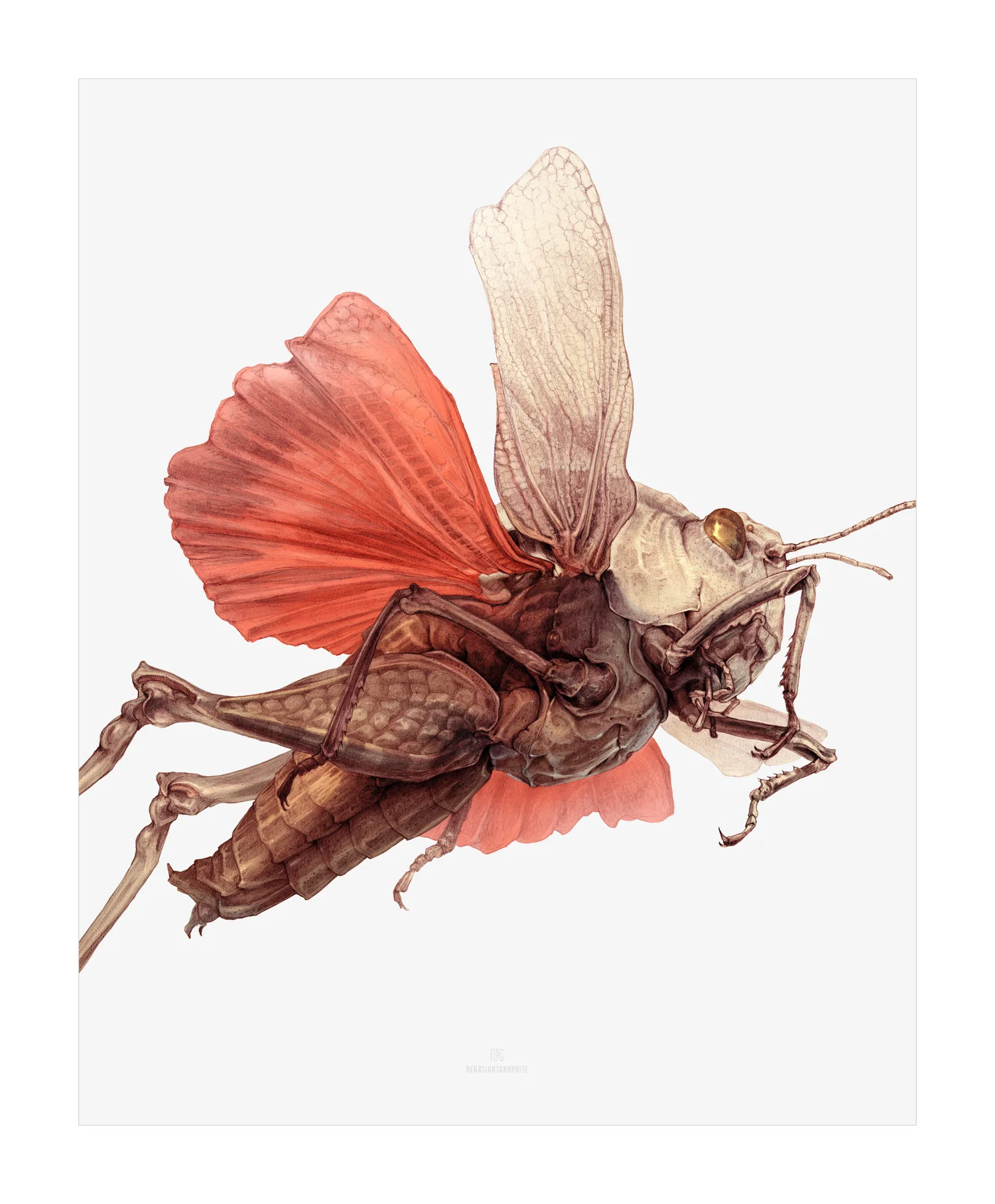 Print by Bobby Long - Our first Artist in Residence.
