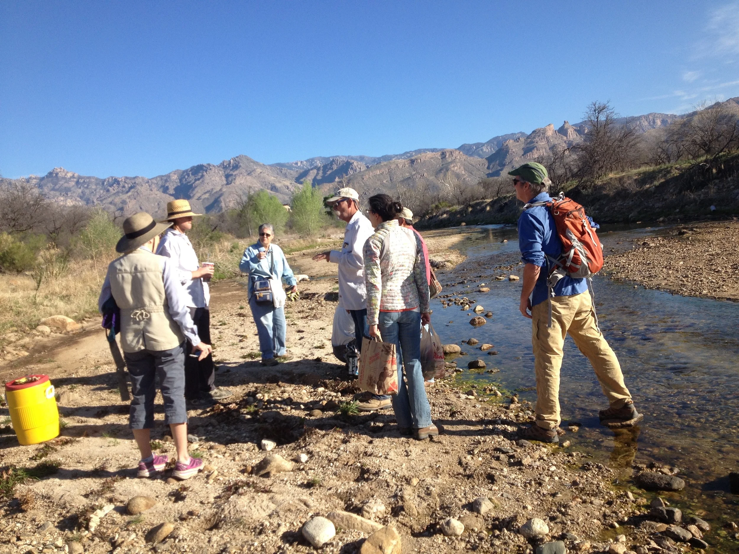 The journey begins early at Sabino Creek.