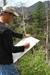 David at Work