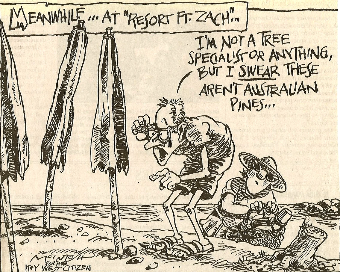 cartoon2.jpg