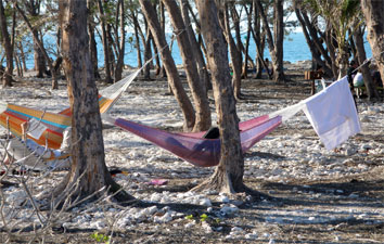 hammock.jpg