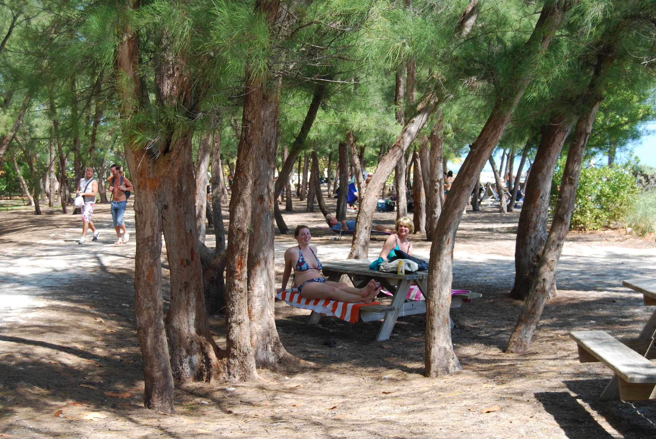 DSC_0152.JPG