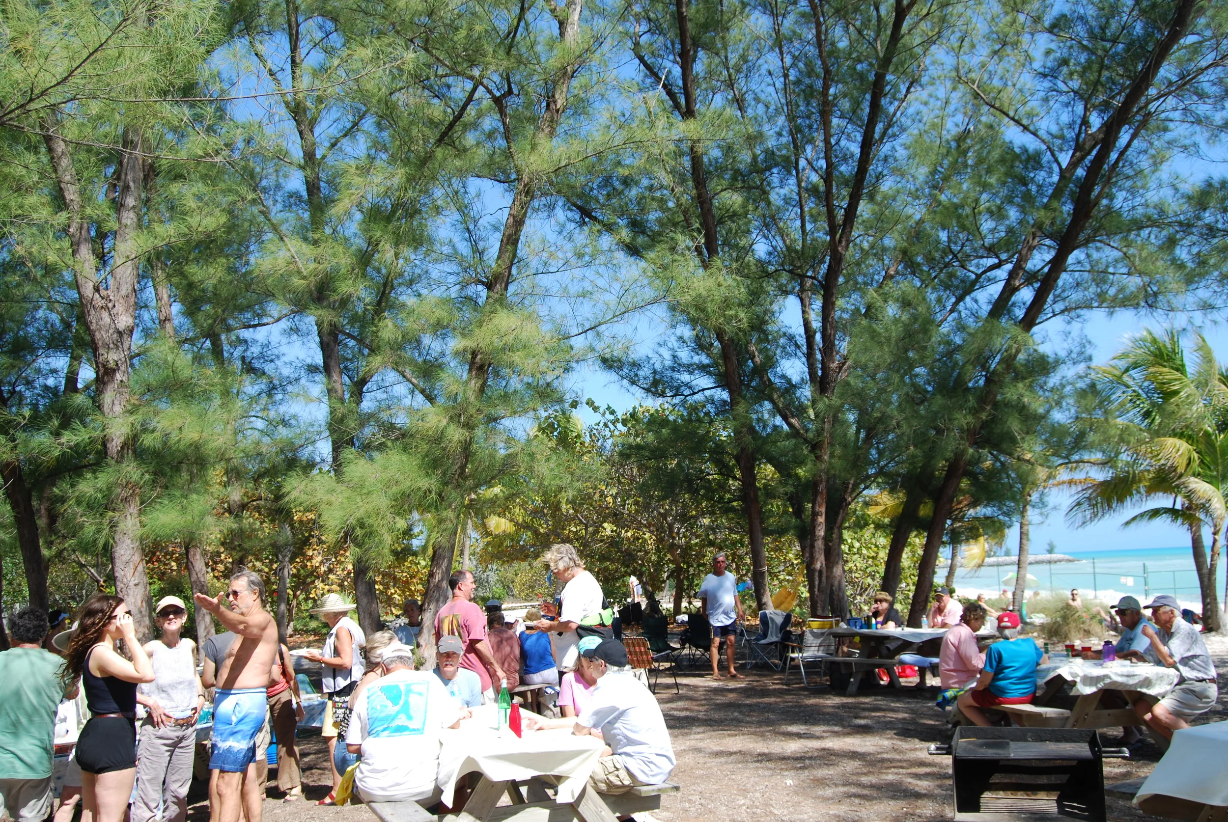 DSC_0174.JPG