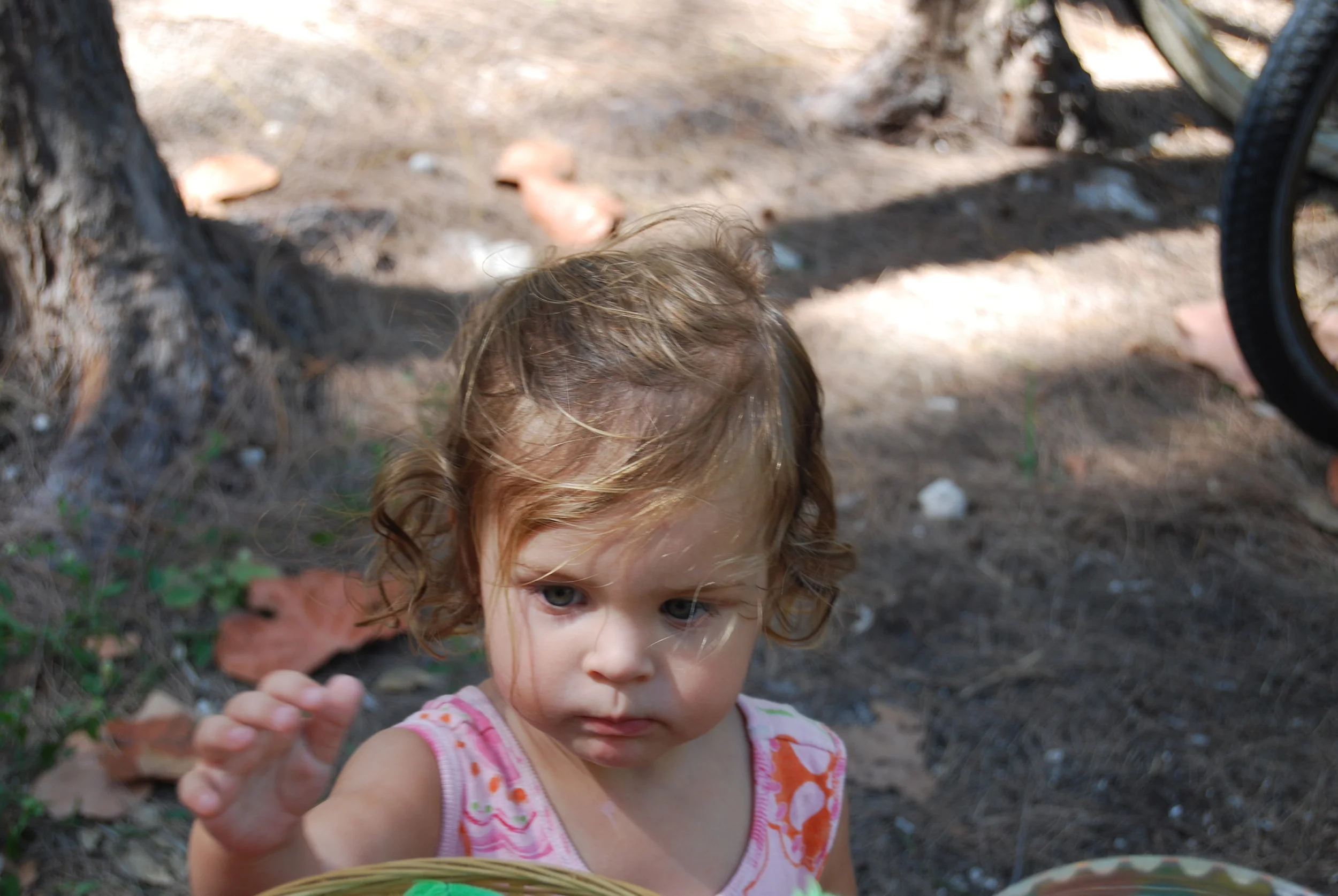 DSC_0100.JPG