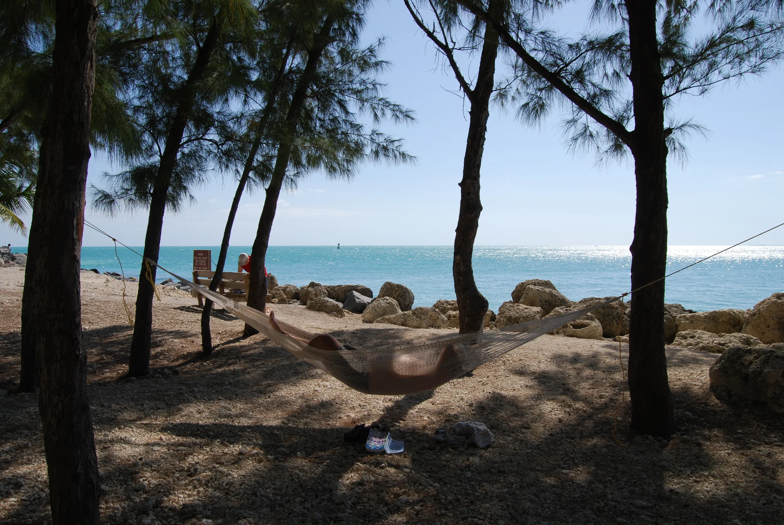 DSC_0134.JPG