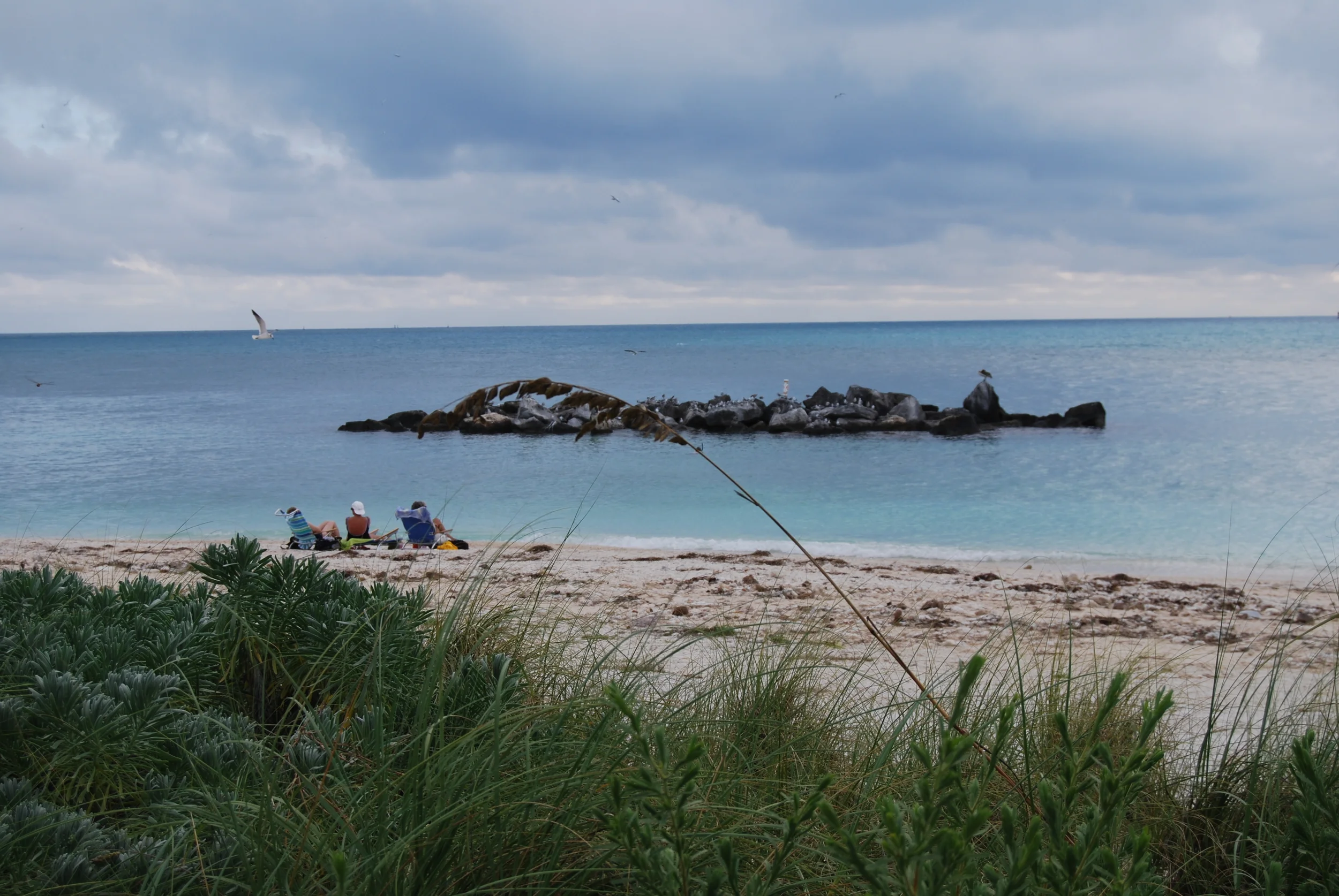 DSC_0469.JPG