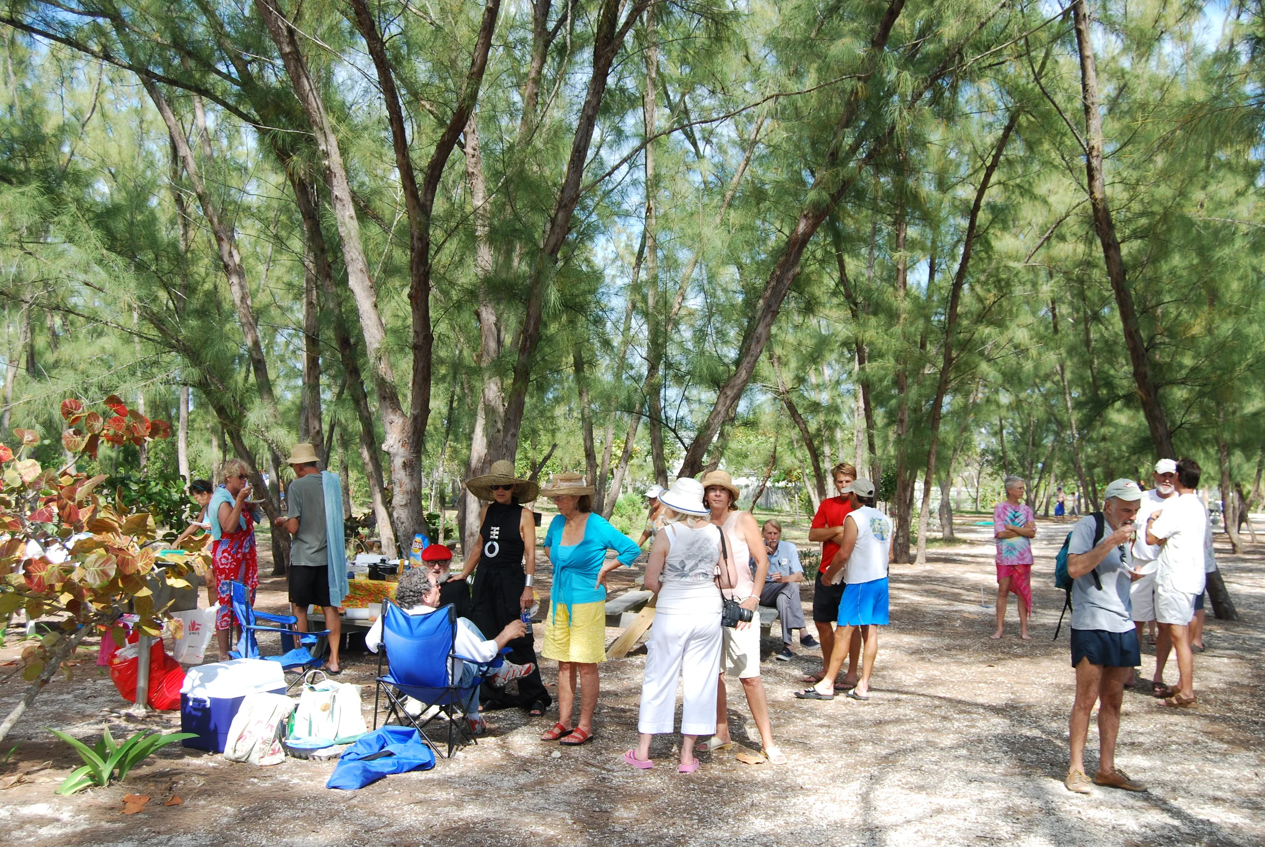 DSC_0165.JPG