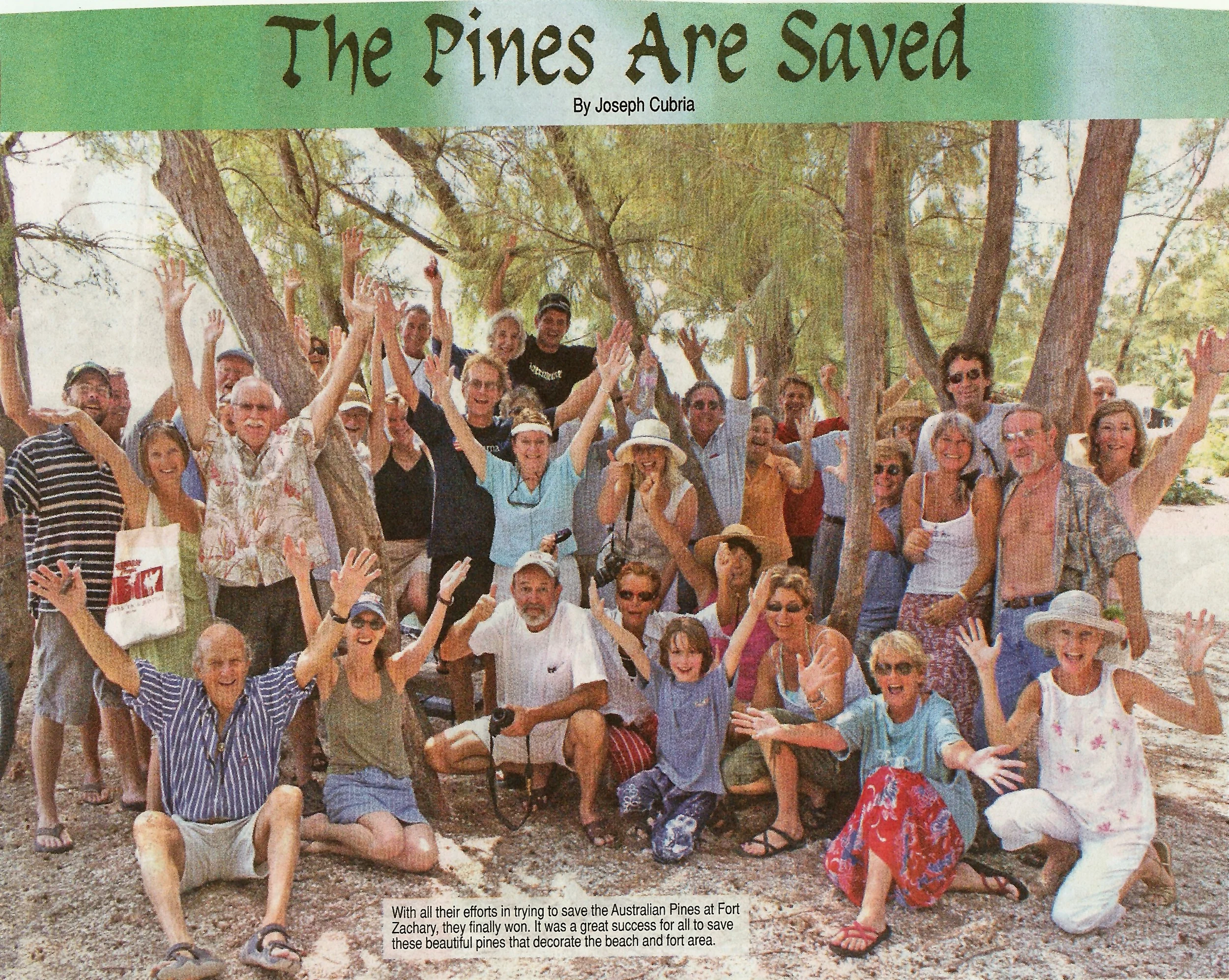 PinesSaved.jpg