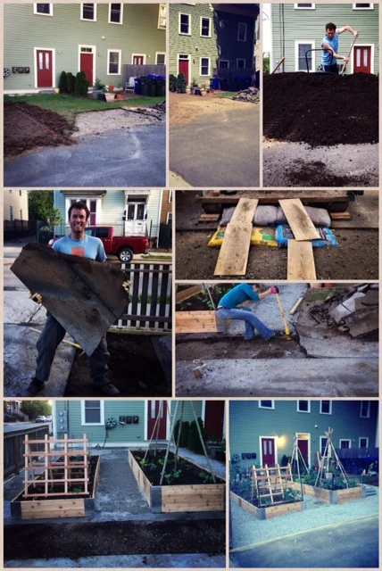 Home-grown organic vegetables in the city: building an urban vegetable garden