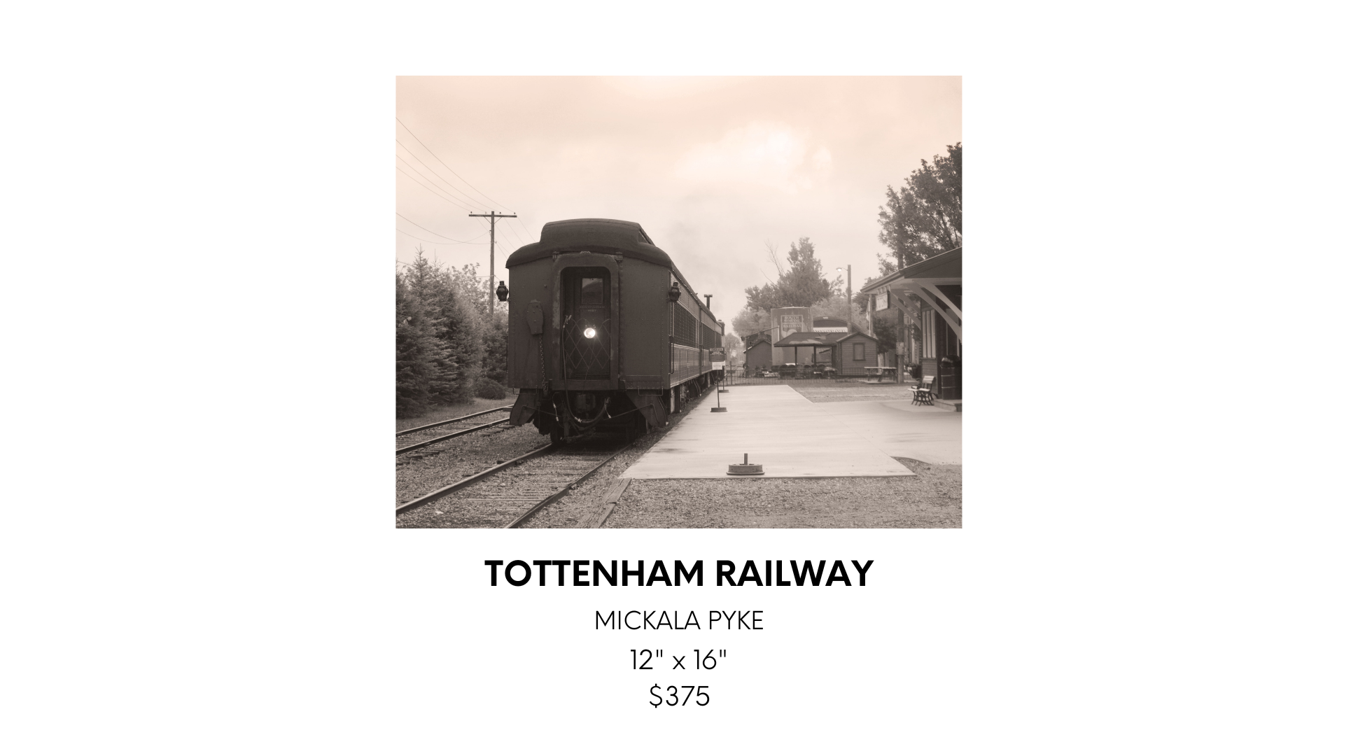 Helena Krokak 1 (7).png