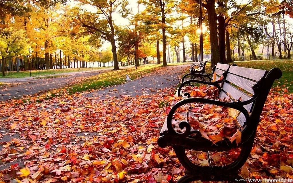 611137_fall-tumblr-mobile-wallpapers-nekeran-com_1920x1200_h.jpg