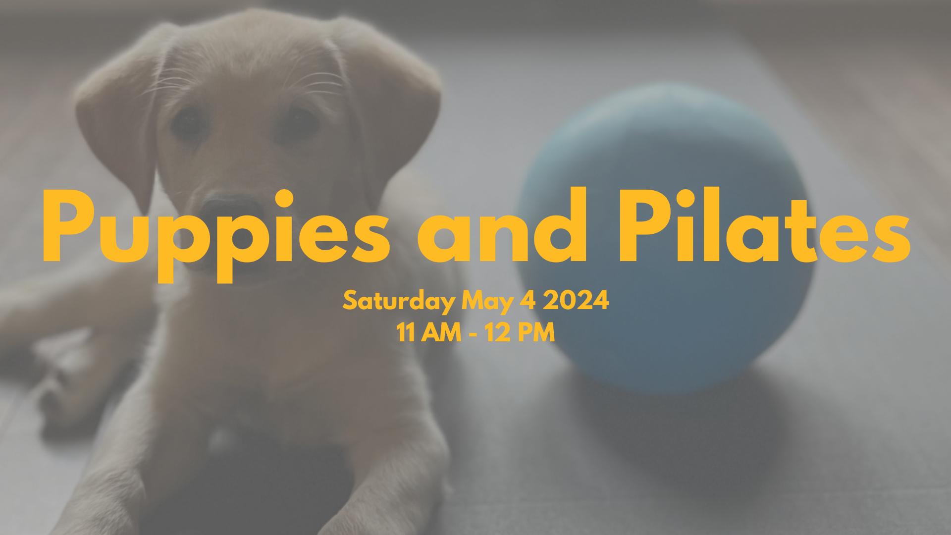Puppies and Pilates Banner.png