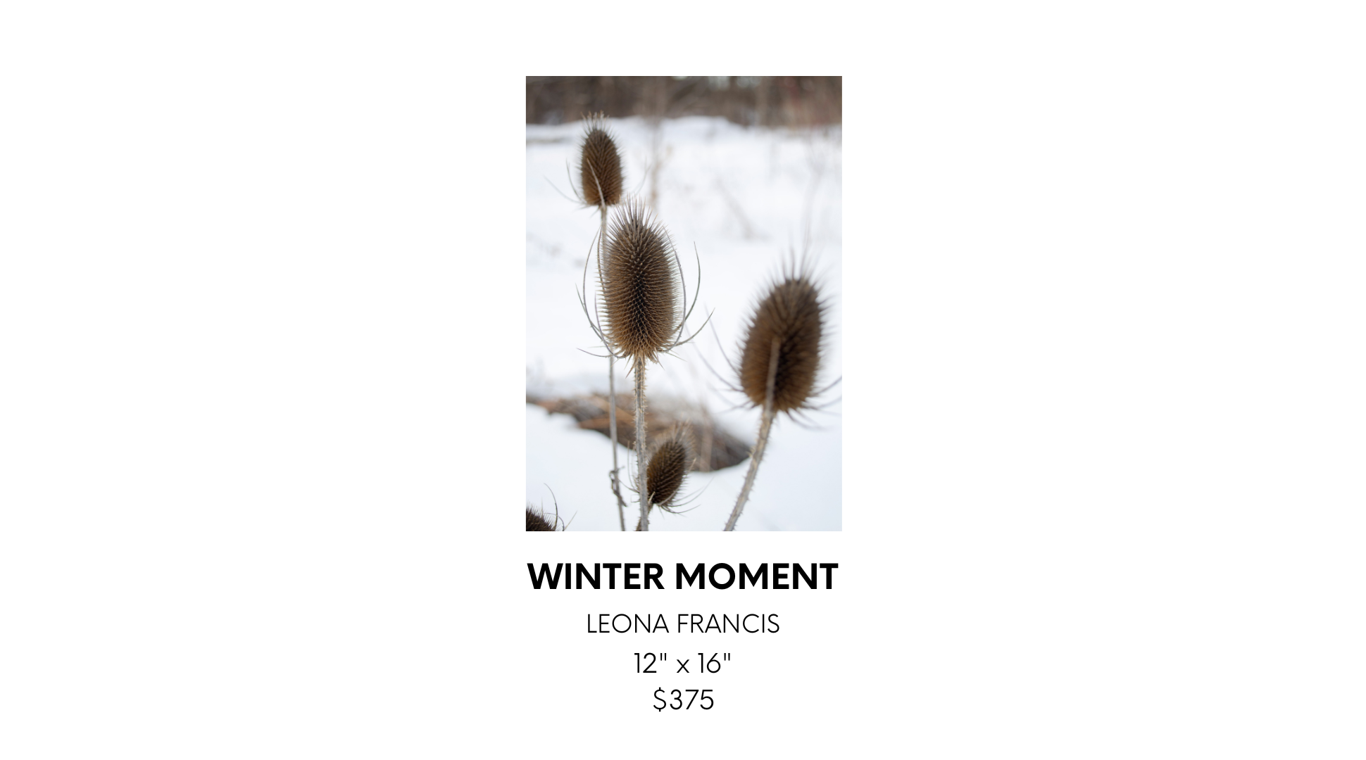 Helena Krokak 1 (25).png