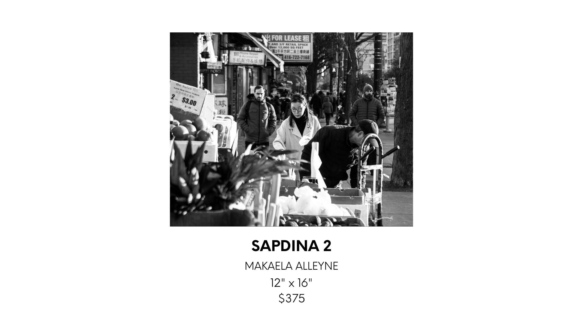 Helena Krokak 1 (9).png