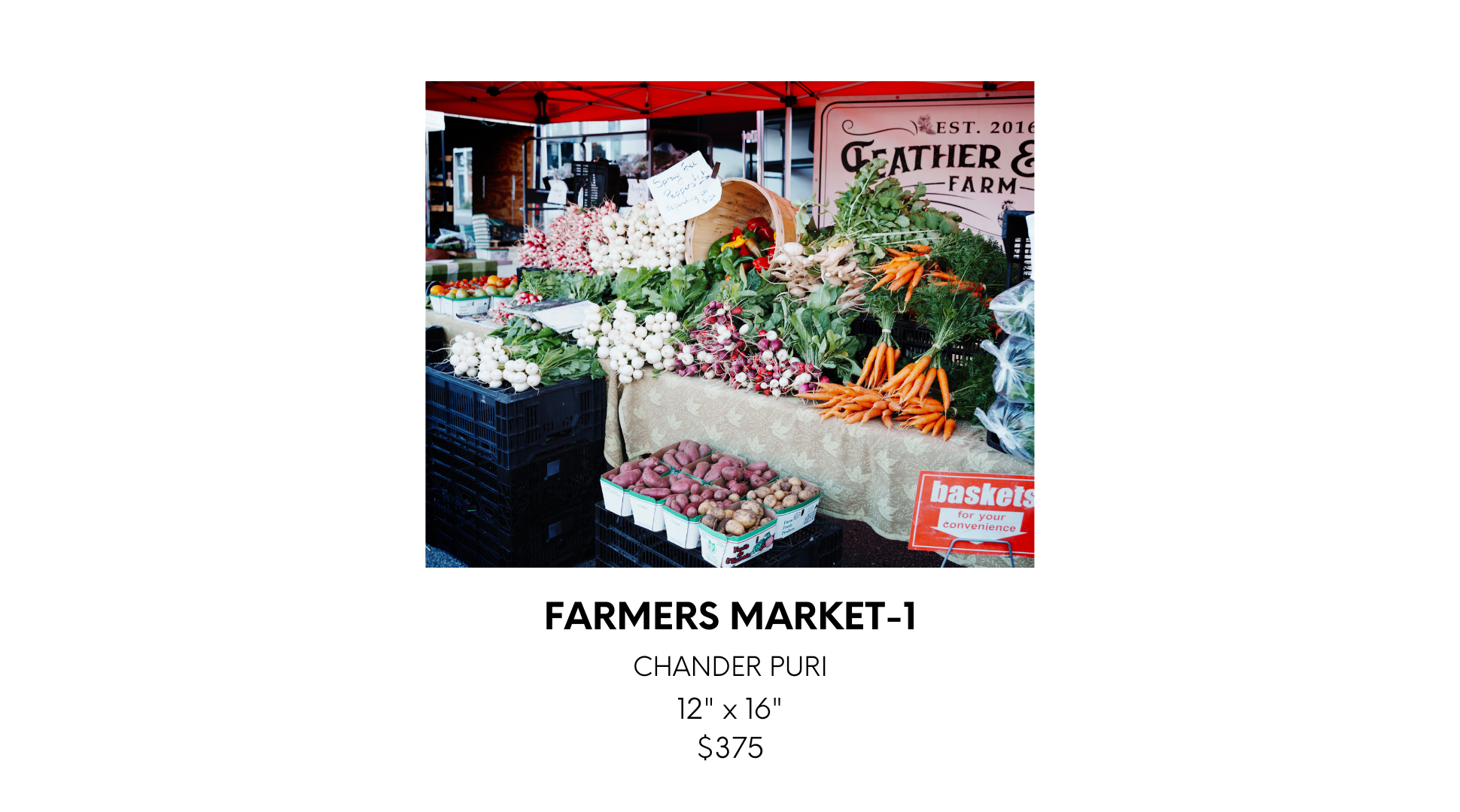 Helena Krokak 1 (5).png