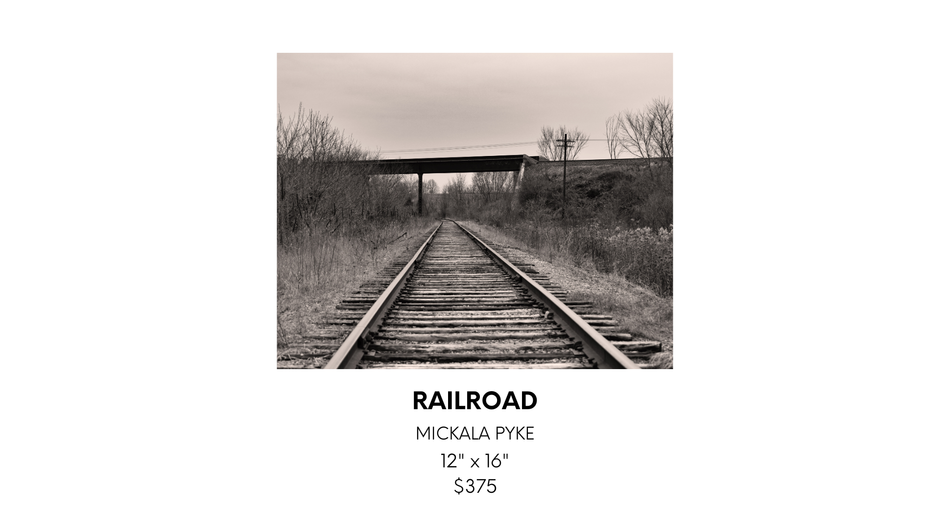 Helena Krokak 1 (6).png