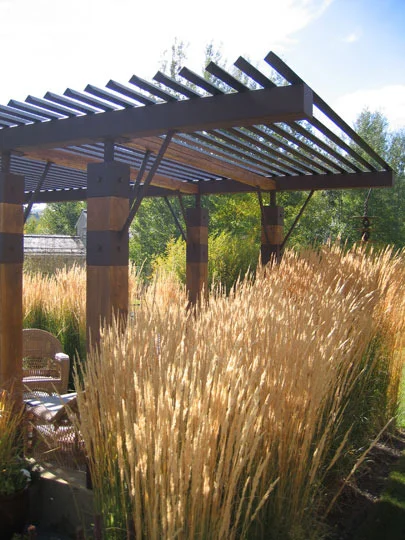 arbor-2.jpg