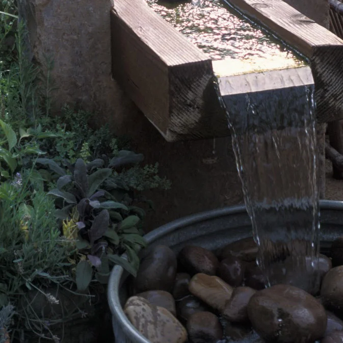watergarden.jpg