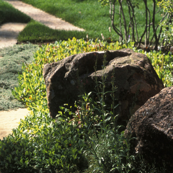 gardenpath.jpg