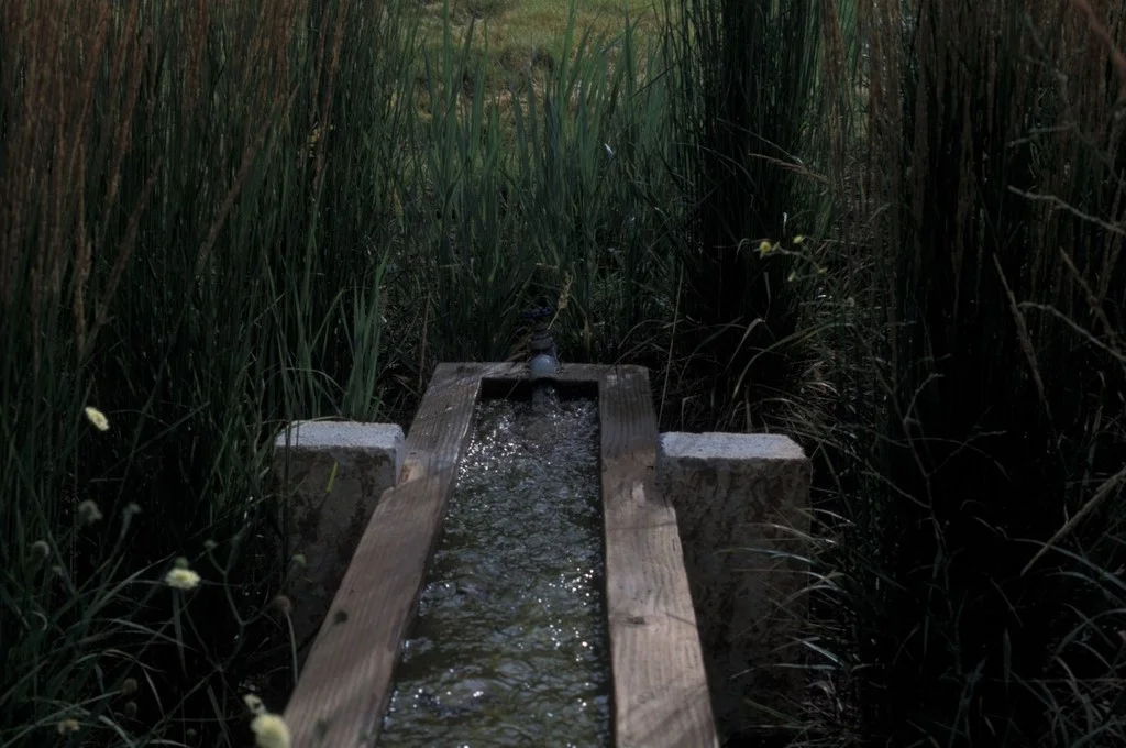 05.jpg