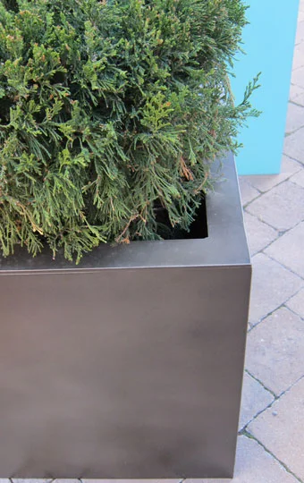 Planter Detail