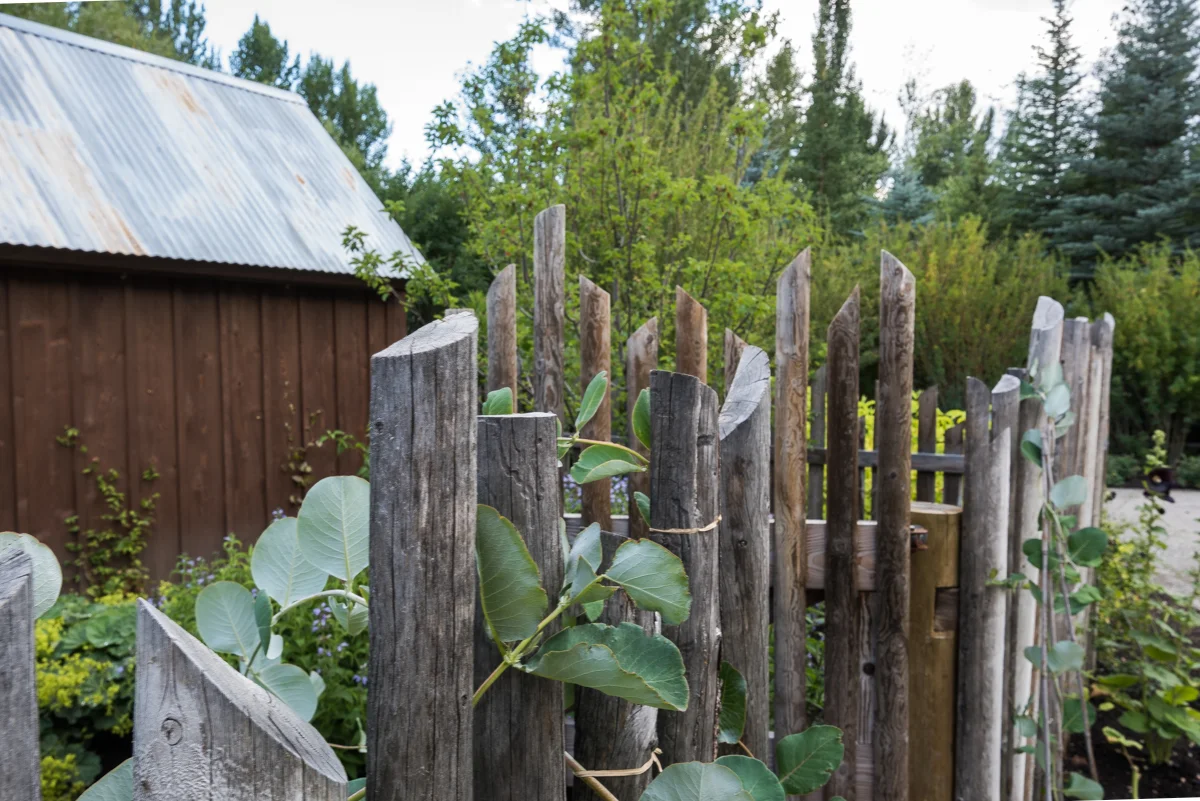 fence.jpg