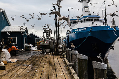 Casco Bay Lobster Boat sm © Heidi Kirn Photography 085.jpg