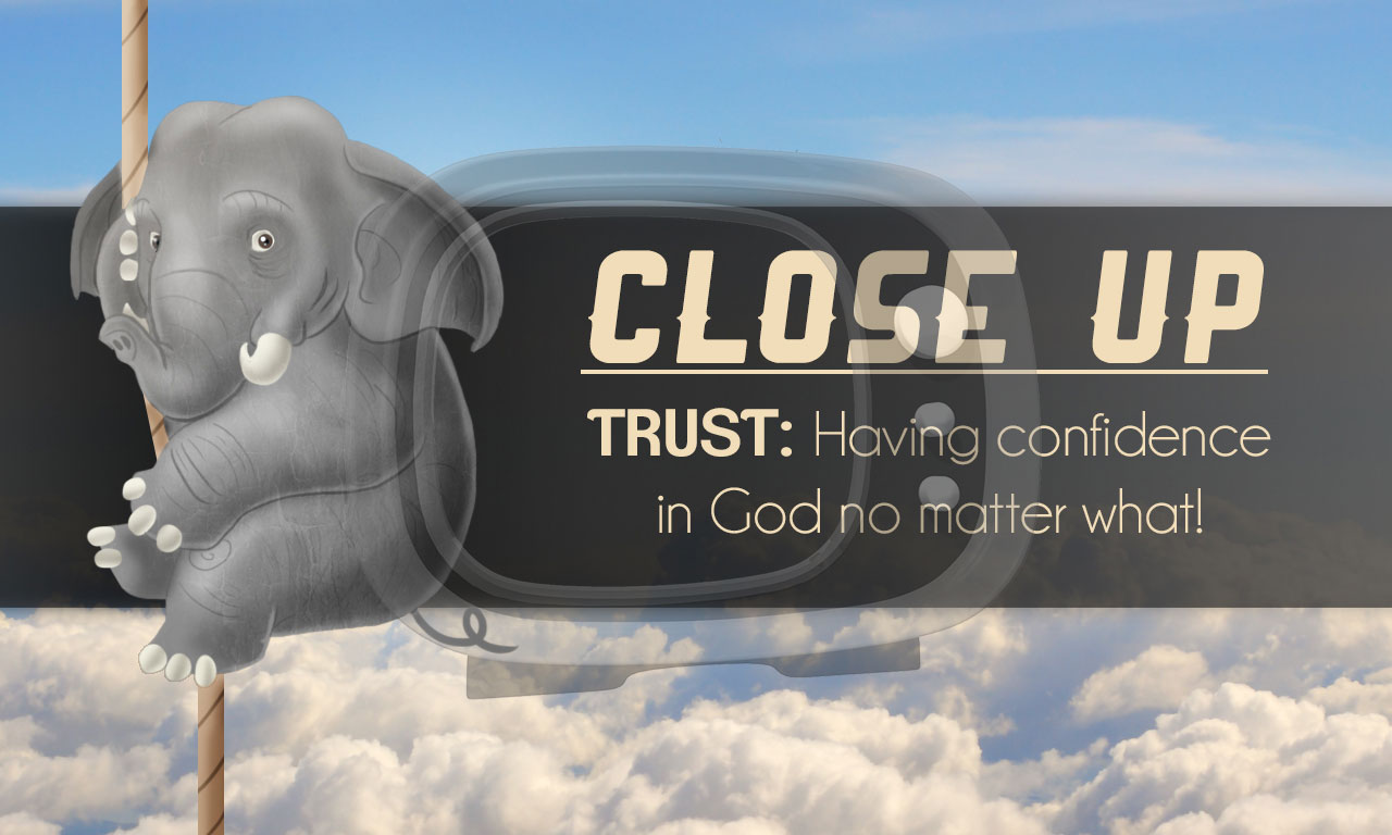 Trust_CloseUp2.jpg