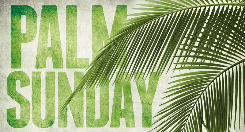 The Journey: Empathy