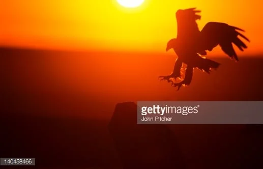 Bishop Duku: Learning from the Eagle