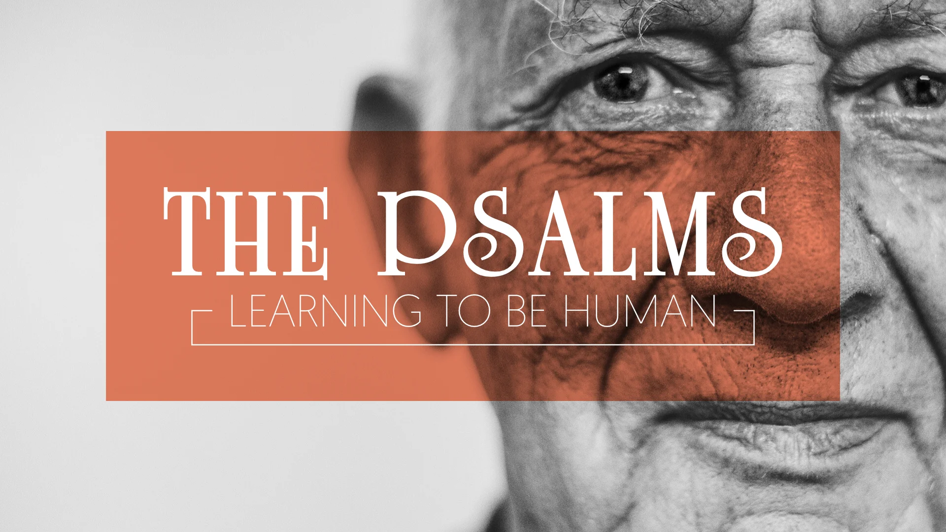 thePsalmsHuman.jpg